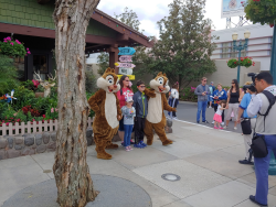 photos/2020/03/Hollywood Studios - Chip and Dale 2020-03-08 028.jpg