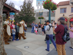 photos/2020/03/Hollywood Studios - Chip and Dale 2020-03-08 031.jpg