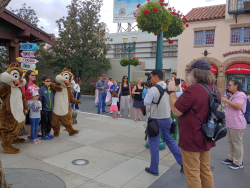 photos/2020/03/Hollywood Studios - Chip and Dale 2020-03-08 032.jpg