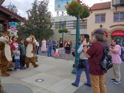 photos/2020/03/Hollywood Studios - Chip and Dale 2020-03-08 033.jpg