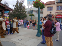 photos/2020/03/Hollywood Studios - Chip and Dale 2020-03-08 034.jpg