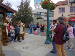 photos/2020/03/Hollywood Studios - Chip and Dale 2020-03-08 035.jpg