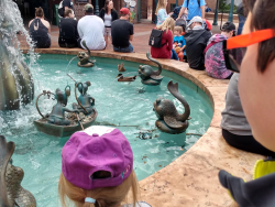 photos/2020/03/Hollywood Studios - Muppets Fountain 2020-03-08 001.jpg