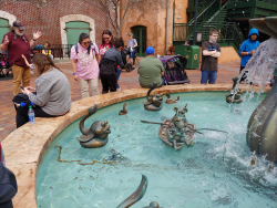 photos/2020/03/Hollywood Studios - Muppets Fountain 2020-03-08 011.jpg