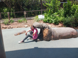 photos/2024/06/Lisa at Dallas Zoo 2024-06-21 009.jpg