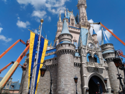 photos/2020/03/Magic Kingdom - Cinderellas Castle Refurb 2020-03-11 020.jpg