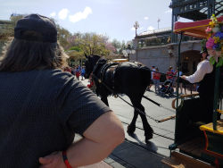 photos/2020/03/Magic Kingdom - Horse Drawn Trolly 2020-03-11 002.jpg