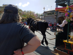 photos/2020/03/Magic Kingdom - Horse Drawn Trolly 2020-03-11 003.jpg