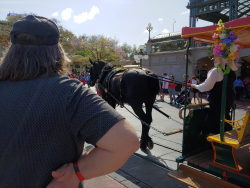 photos/2020/03/Magic Kingdom - Horse Drawn Trolly 2020-03-11 004.jpg