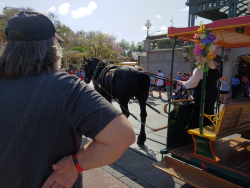 photos/2020/03/Magic Kingdom - Horse Drawn Trolly 2020-03-11 005.jpg