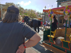 photos/2020/03/Magic Kingdom - Horse Drawn Trolly 2020-03-11 006.jpg