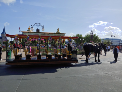 photos/2020/03/Magic Kingdom - Horse Drawn Trolly 2020-03-11 014.jpg