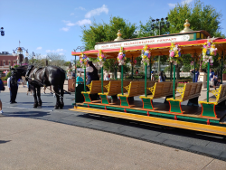 photos/2020/03/Magic Kingdom - Horse Drawn Trolly 2020-03-11 016.jpg