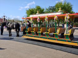 photos/2020/03/Magic Kingdom - Horse Drawn Trolly 2020-03-11 017.jpg