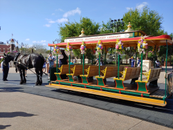 photos/2020/03/Magic Kingdom - Horse Drawn Trolly 2020-03-11 018.jpg