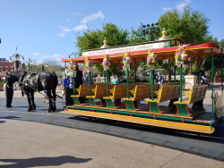 photos/2020/03/Magic Kingdom - Horse Drawn Trolly 2020-03-11 020.jpg