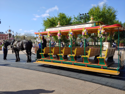 photos/2020/03/Magic Kingdom - Horse Drawn Trolly 2020-03-11 021.jpg