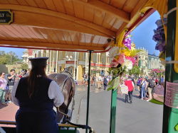 photos/2020/03/Magic Kingdom - Horse Drawn Trolly 2020-03-11 023.jpg