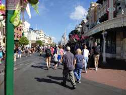 photos/2020/03/Magic Kingdom - Horse Drawn Trolly 2020-03-11 024.jpg