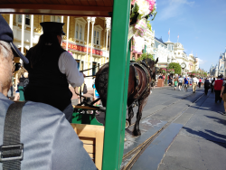 photos/2020/03/Magic Kingdom - Horse Drawn Trolly 2020-03-11 025.jpg