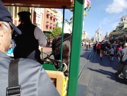 photos/2020/03/Magic Kingdom - Horse Drawn Trolly 2020-03-11 026.jpg