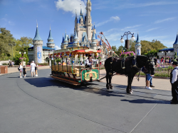 photos/2020/03/Magic Kingdom - Horse Drawn Trolly 2020-03-11 030.jpg