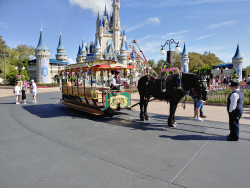 photos/2020/03/Magic Kingdom - Horse Drawn Trolly 2020-03-11 031.jpg