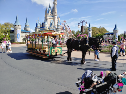 photos/2020/03/Magic Kingdom - Horse Drawn Trolly 2020-03-11 032.jpg